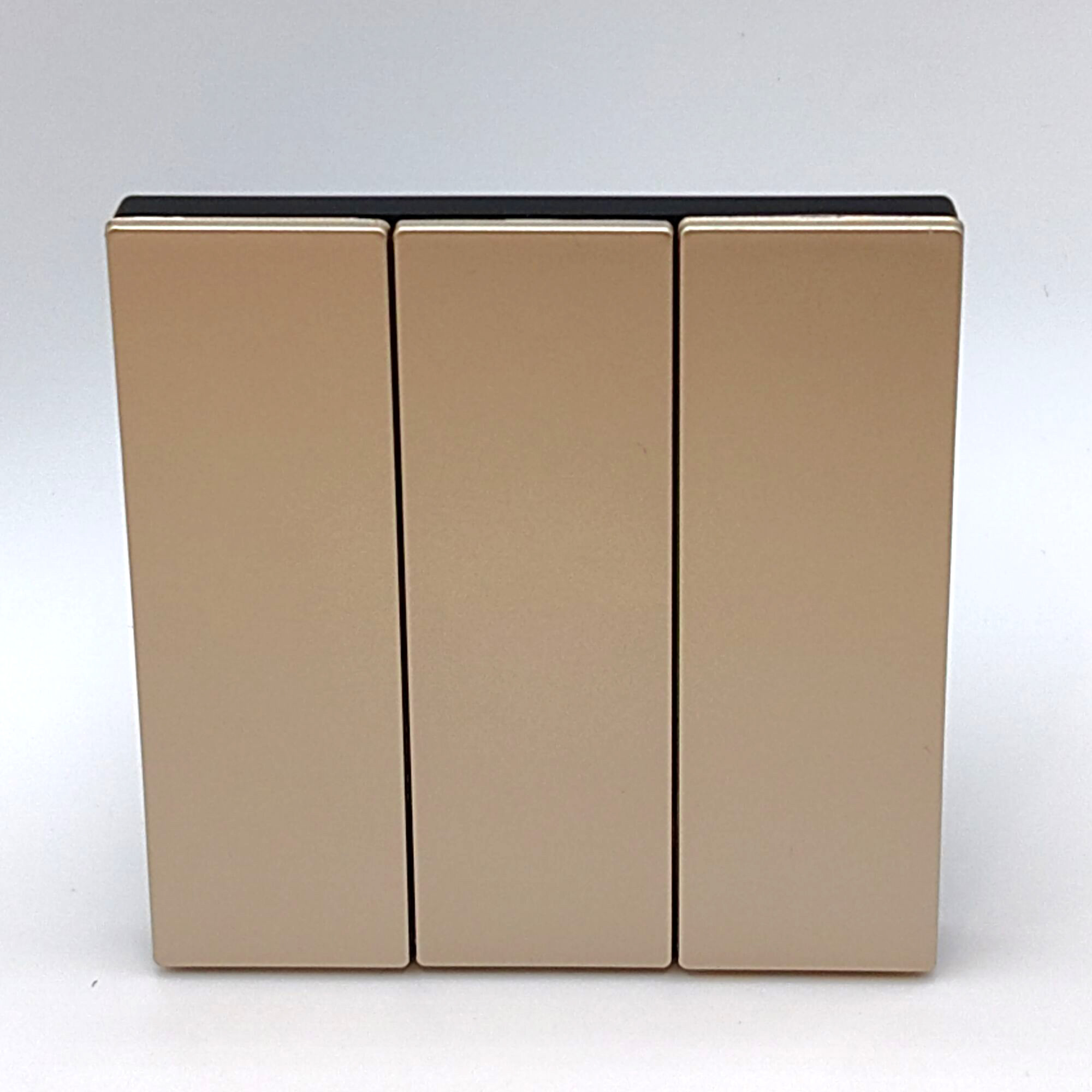 3-х клавишная панель управления с 2 зонами нажатия (верх и низ) (PM1906.0801)
